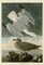 Herring Gull Poster Print by John James Audubon - Item # VARPDXJJA291